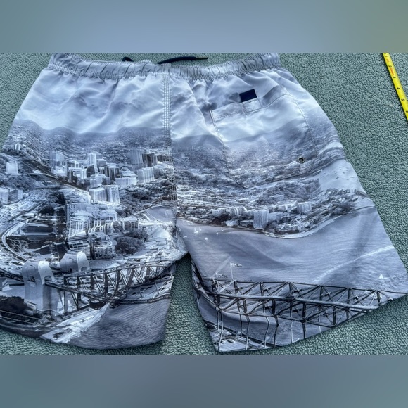 DUCHAMP Sydney Harbour Bridge Board Shorts - Picture 5 of 7